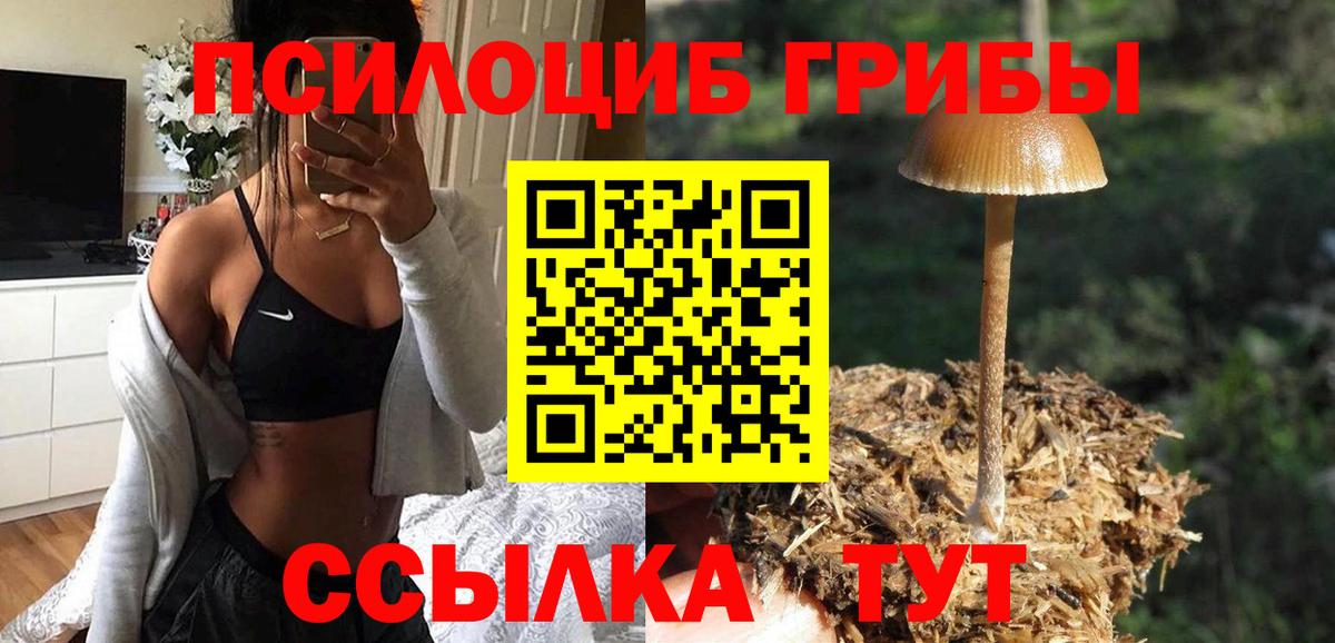 Галлюциногенные грибы Cubensis  наркошоп  Каменск-Шахтинский  Вход с VPN 
